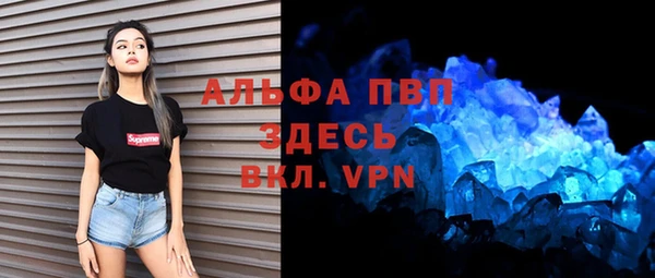 индика Алексин