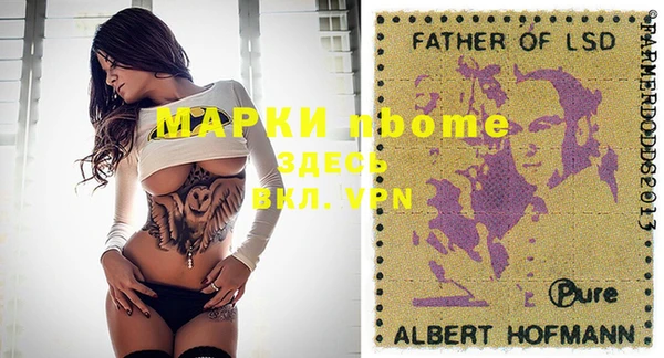 индика Алексин