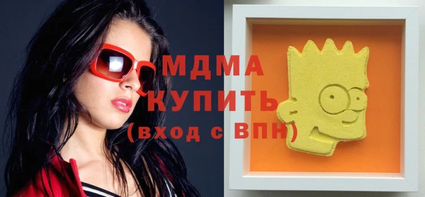 индика Алексин