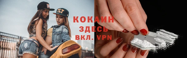 индика Алексин