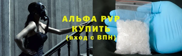 индика Алексин