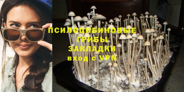 молекула духа Алексеевка