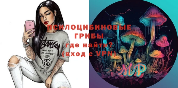 индика Алексин