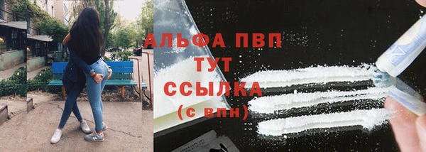 индика Алексин