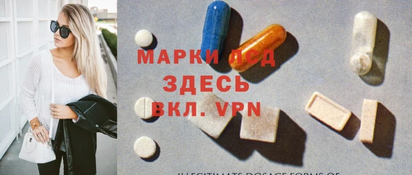 индика Алексин