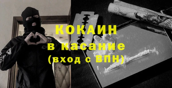 индика Алексин