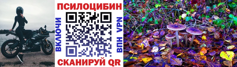 Галлюциногенные грибы Psilocybe  Енисейск 